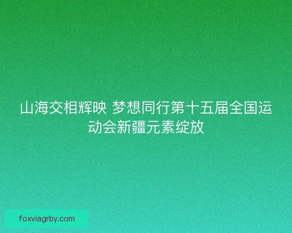 山海交相辉映 梦想同行第十五届全国运动会新疆元素绽放