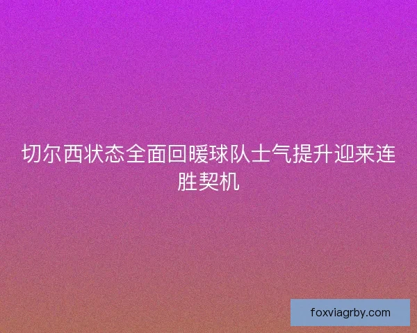 切尔西状态全面回暖球队士气提升迎来连胜契机
