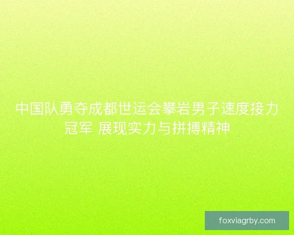 中国队勇夺成都世运会攀岩男子速度接力冠军 展现实力与拼搏精神